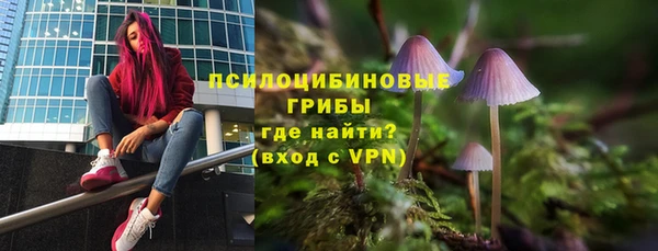 хмурый Алексеевка